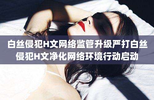 白丝侵犯H文网络监管升级严打白丝侵犯H文净化网络环境行动启动
