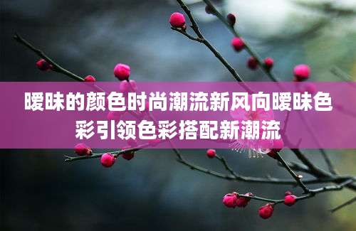 暧昧的颜色时尚潮流新风向暧昧色彩引领色彩搭配新潮流