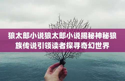 狼太郎小说狼太郎小说揭秘神秘狼族传说引领读者探寻奇幻世界