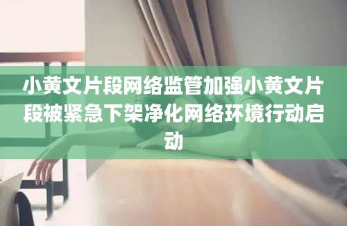 小黄文片段网络监管加强小黄文片段被紧急下架净化网络环境行动启动