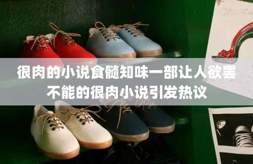 很肉的小说食髓知味一部让人欲罢不能的很肉小说引发热议