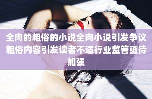 全肉的粗俗的小说全肉小说引发争议粗俗内容引发读者不适行业监管亟待加强