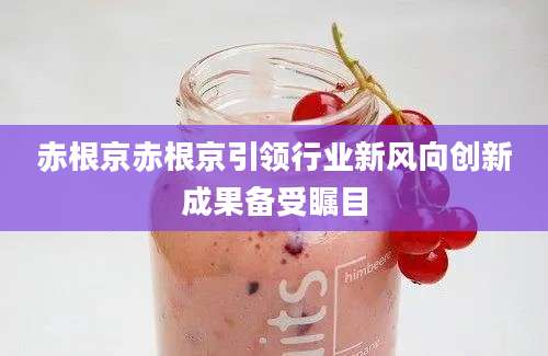 赤根京赤根京引领行业新风向创新成果备受瞩目