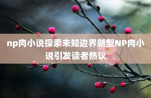 np肉小说探索未知边界新型NP肉小说引发读者热议