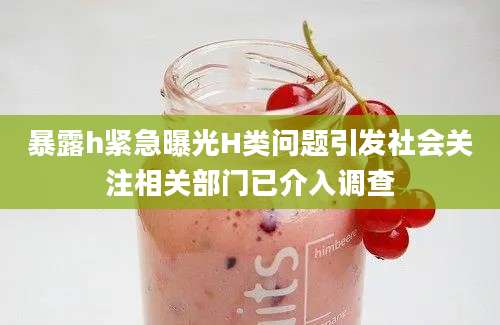 暴露h紧急曝光H类问题引发社会关注相关部门已介入调查