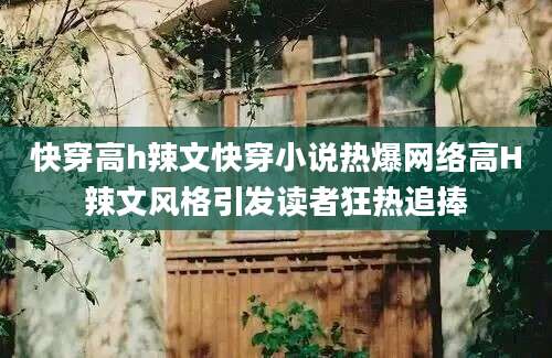 快穿高h辣文快穿小说热爆网络高H辣文风格引发读者狂热追捧