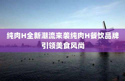 纯肉H全新潮流来袭纯肉H餐饮品牌引领美食风尚
