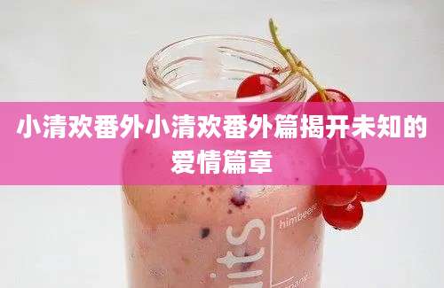 小清欢番外小清欢番外篇揭开未知的爱情篇章