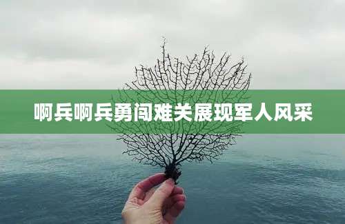 啊兵啊兵勇闯难关展现军人风采