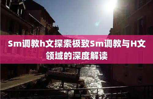 Sm调教h文探索极致Sm调教与H文领域的深度解读