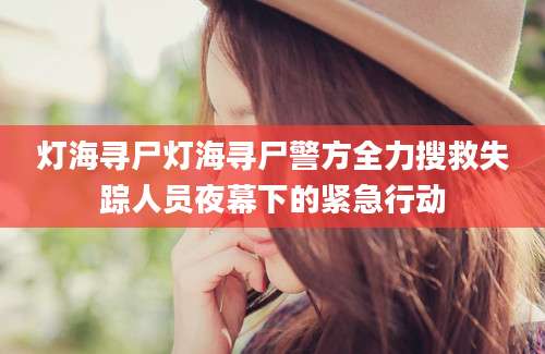 灯海寻尸灯海寻尸警方全力搜救失踪人员夜幕下的紧急行动