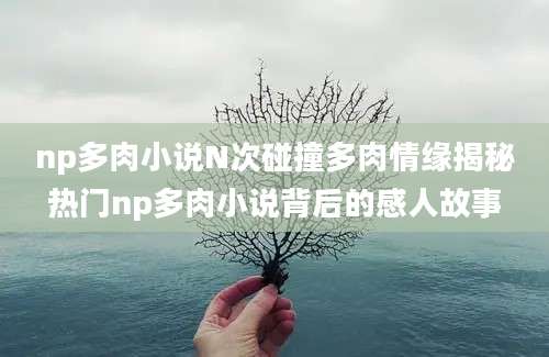 np多肉小说N次碰撞多肉情缘揭秘热门np多肉小说背后的感人故事