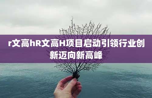 r文高hR文高H项目启动引领行业创新迈向新高峰