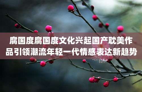 腐国度腐国度文化兴起国产耽美作品引领潮流年轻一代情感表达新趋势