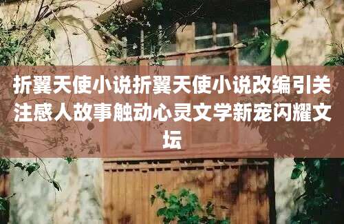 折翼天使小说折翼天使小说改编引关注感人故事触动心灵文学新宠闪耀文坛