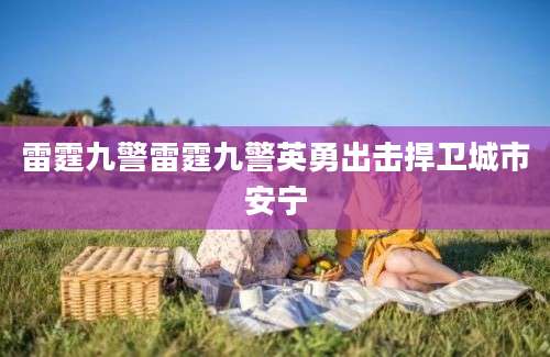 雷霆九警雷霆九警英勇出击捍卫城市安宁
