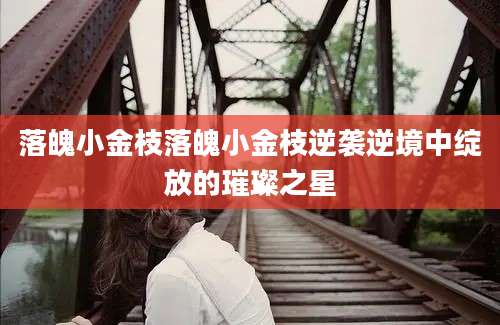 落魄小金枝落魄小金枝逆袭逆境中绽放的璀璨之星