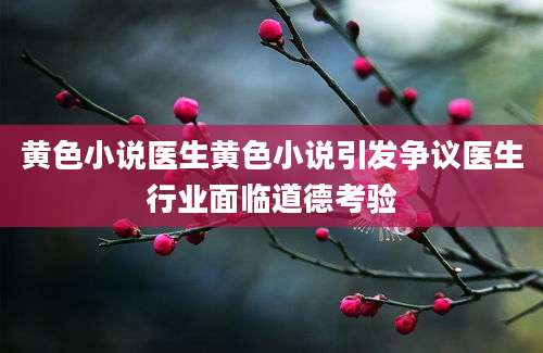 黄色小说医生黄色小说引发争议医生行业面临道德考验