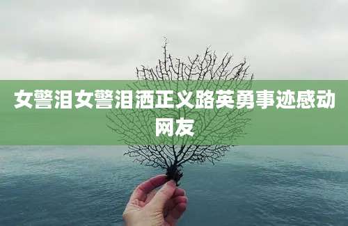 女警泪女警泪洒正义路英勇事迹感动网友