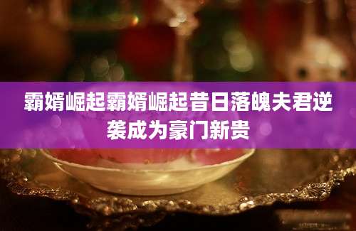 霸婿崛起霸婿崛起昔日落魄夫君逆袭成为豪门新贵