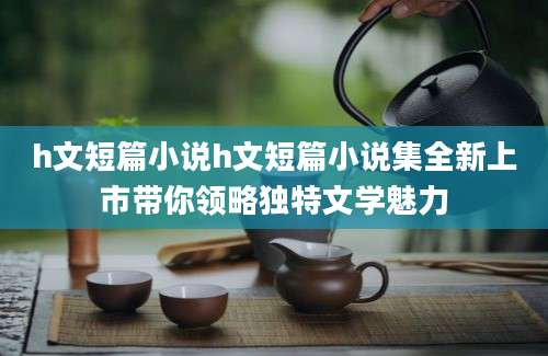 h文短篇小说h文短篇小说集全新上市带你领略独特文学魅力
