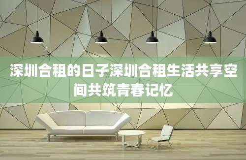 深圳合租的日子深圳合租生活共享空间共筑青春记忆