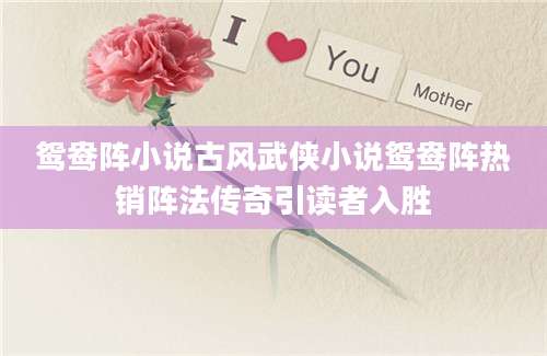 鸳鸯阵小说古风武侠小说鸳鸯阵热销阵法传奇引读者入胜