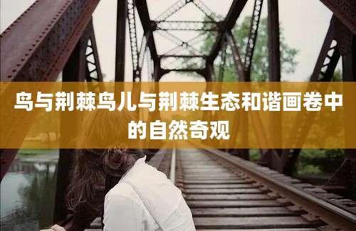 鸟与荆棘鸟儿与荆棘生态和谐画卷中的自然奇观