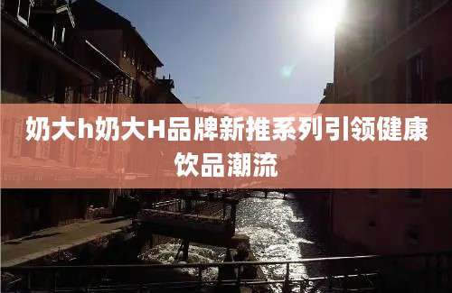 奶大h奶大H品牌新推系列引领健康饮品潮流