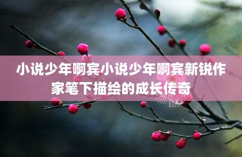 小说少年啊宾小说少年啊宾新锐作家笔下描绘的成长传奇