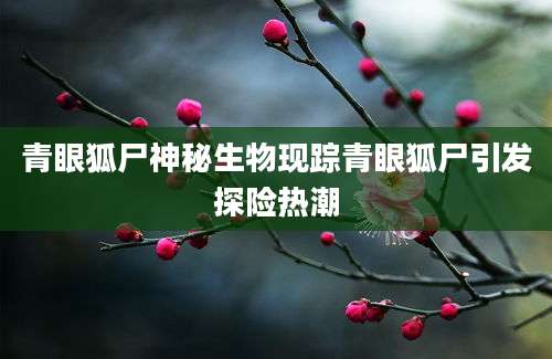 青眼狐尸神秘生物现踪青眼狐尸引发探险热潮