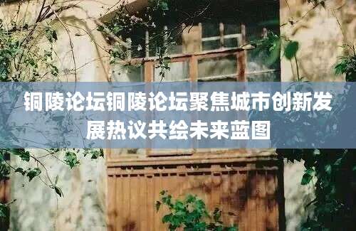铜陵论坛铜陵论坛聚焦城市创新发展热议共绘未来蓝图