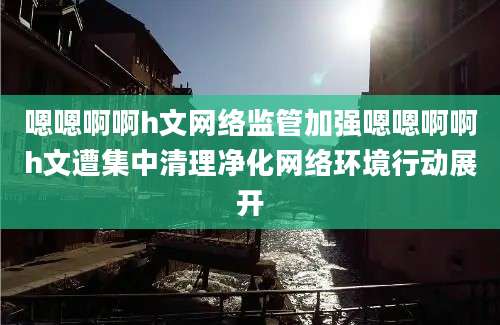 嗯嗯啊啊h文网络监管加强嗯嗯啊啊h文遭集中清理净化网络环境行动展开