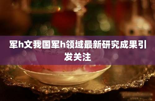 军h文我国军h领域最新研究成果引发关注