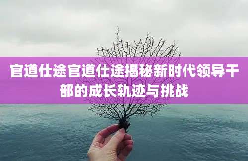 官道仕途官道仕途揭秘新时代领导干部的成长轨迹与挑战