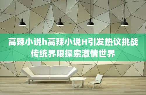 高辣小说h高辣小说H引发热议挑战传统界限探索激情世界