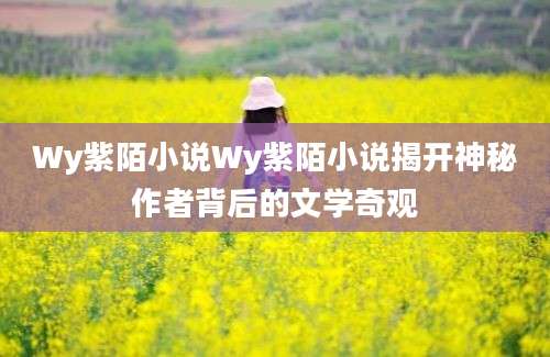 Wy紫陌小说Wy紫陌小说揭开神秘作者背后的文学奇观
