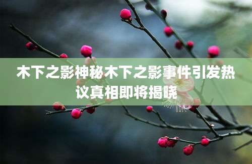 木下之影神秘木下之影事件引发热议真相即将揭晓