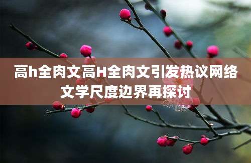 高h全肉文高H全肉文引发热议网络文学尺度边界再探讨