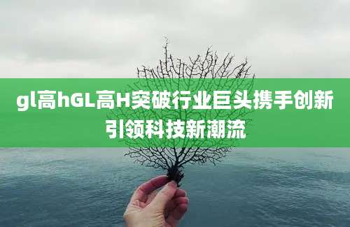 gl高hGL高H突破行业巨头携手创新引领科技新潮流