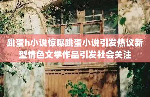 跳蛋h小说惊曝跳蛋小说引发热议新型情色文学作品引发社会关注