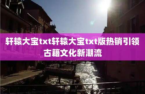 轩辕大宝txt轩辕大宝txt版热销引领古籍文化新潮流