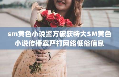 sm黄色小说警方破获特大SM黄色小说传播案严打网络低俗信息