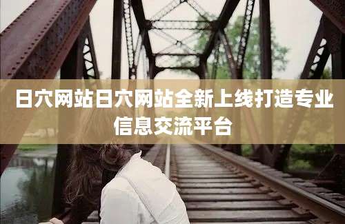 日穴网站日穴网站全新上线打造专业信息交流平台