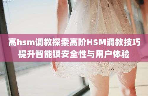 高hsm调教探索高阶HSM调教技巧提升智能锁安全性与用户体验