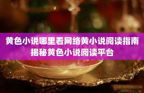 黄色小说哪里看网络黄小说阅读指南揭秘黄色小说阅读平台