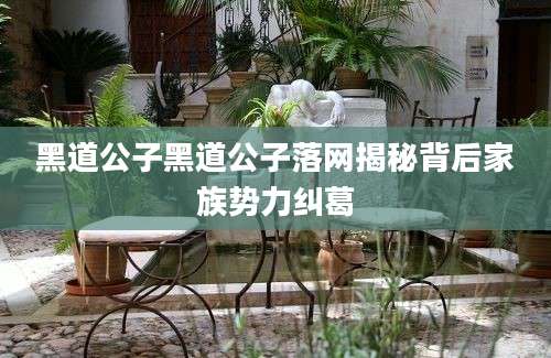 黑道公子黑道公子落网揭秘背后家族势力纠葛
