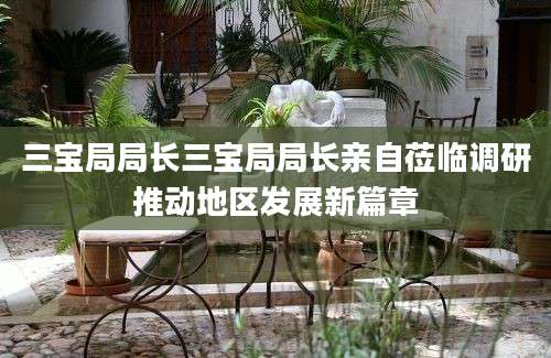 三宝局局长三宝局局长亲自莅临调研推动地区发展新篇章