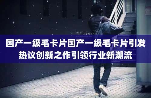 国产一级毛卡片国产一级毛卡片引发热议创新之作引领行业新潮流