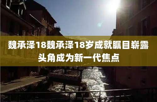 魏承泽18魏承泽18岁成就瞩目崭露头角成为新一代焦点